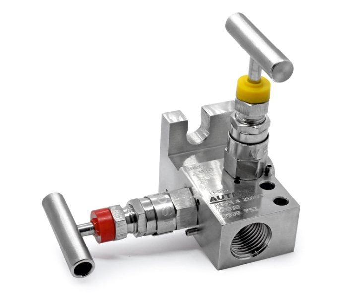 2 Valve Instrument Manifold Valves – Instrumentation Valves & Fittings